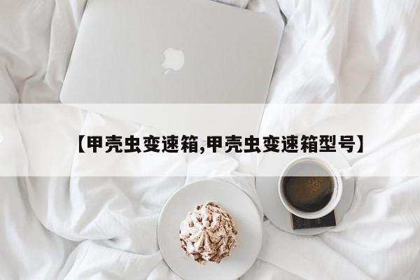 【甲壳虫变速箱,甲壳虫变速箱型号】