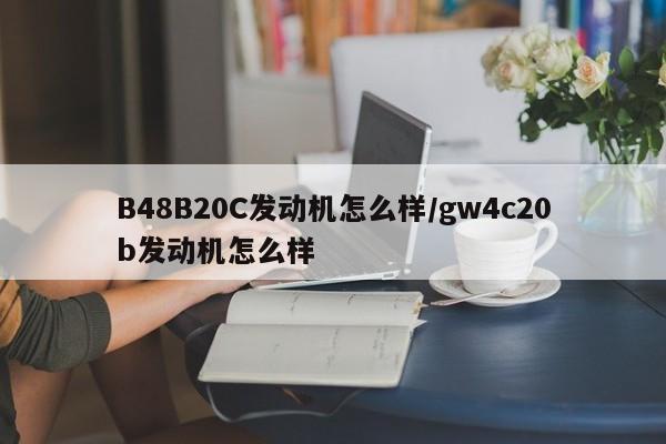 B48B20C发动机怎么样/gw4c20b发动机怎么样