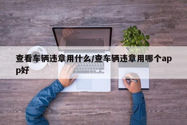 查看车辆违章用什么/查车辆违章用哪个app好