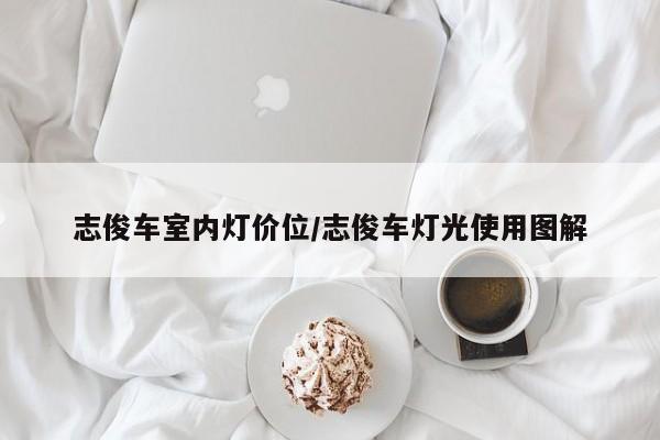 志俊车室内灯价位/志俊车灯光使用图解