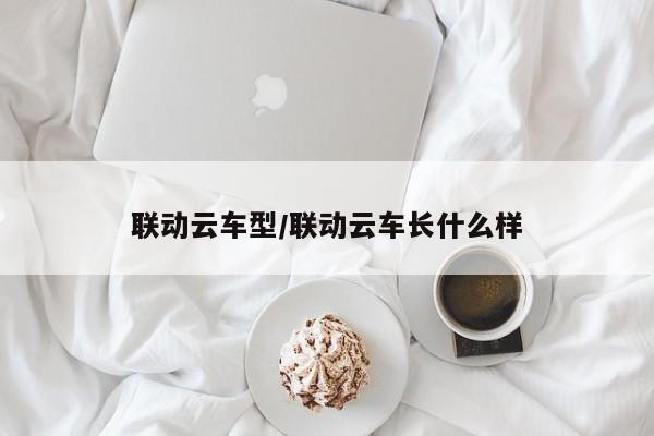 联动云车型/联动云车长什么样