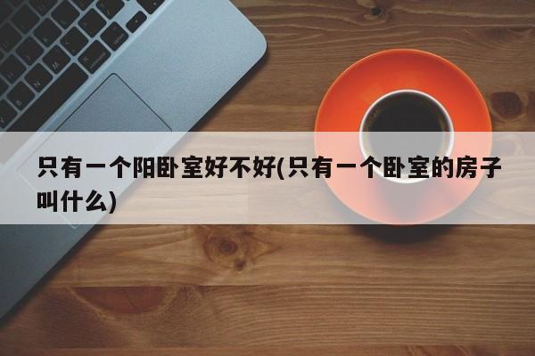只有一个阳卧室好不好(只有一个卧室的房子叫什么)