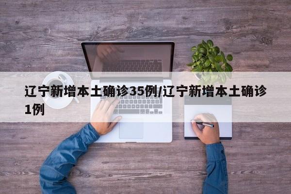 辽宁新增本土确诊35例/辽宁新增本土确诊1例