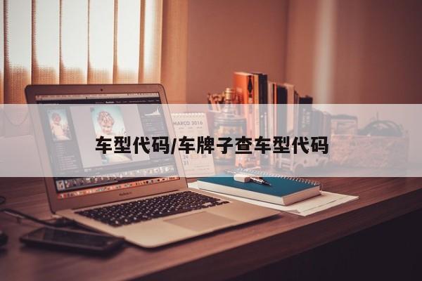 车型代码/车牌子查车型代码