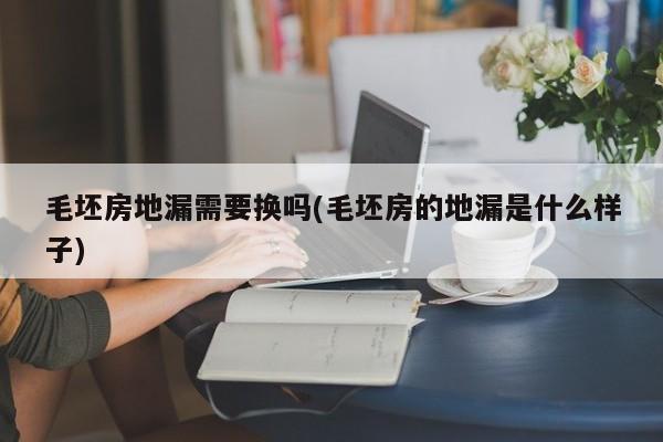 毛坯房地漏需要换吗(毛坯房的地漏是什么样子)