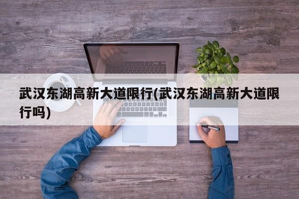 武汉东湖高新大道限行(武汉东湖高新大道限行吗)