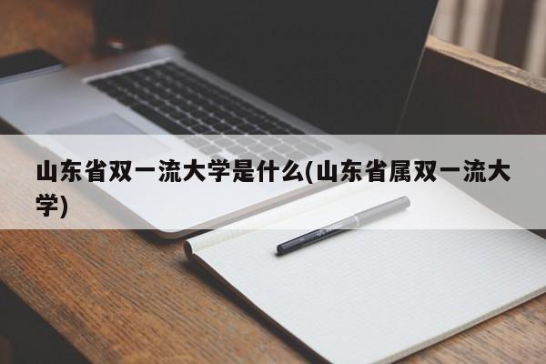 山东省双一流大学是什么(山东省属双一流大学)