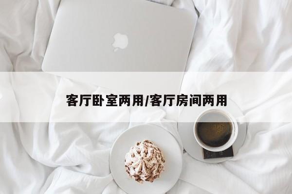 客厅卧室两用/客厅房间两用