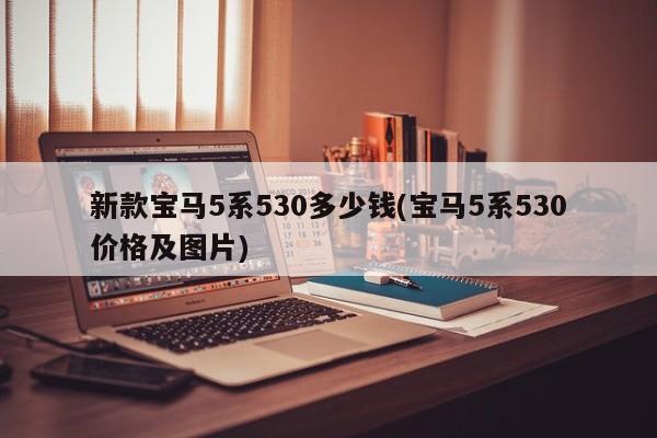 新款宝马5系530多少钱(宝马5系530价格及图片)