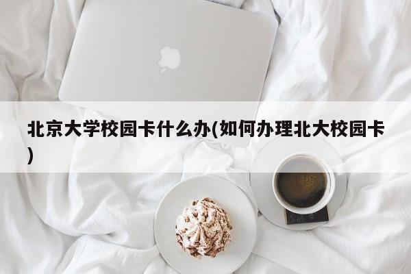北京大学校园卡什么办(如何办理北大校园卡)
