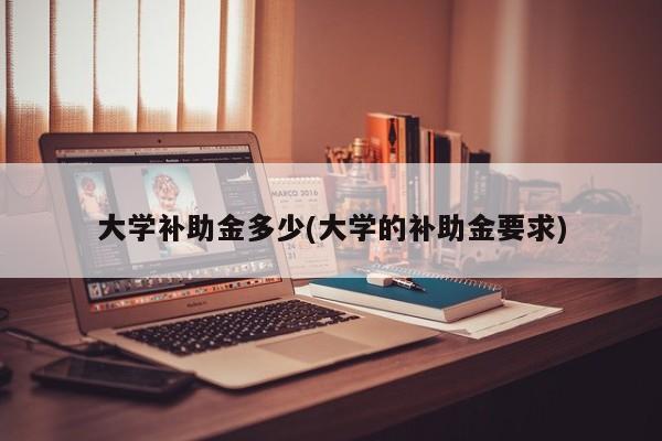大学补助金多少(大学的补助金要求)
