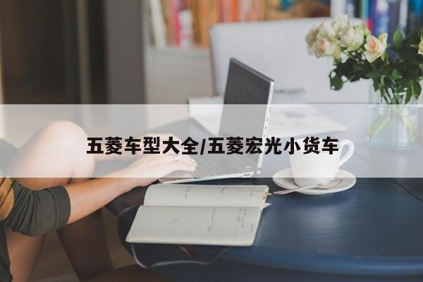 五菱车型大全/五菱宏光小货车