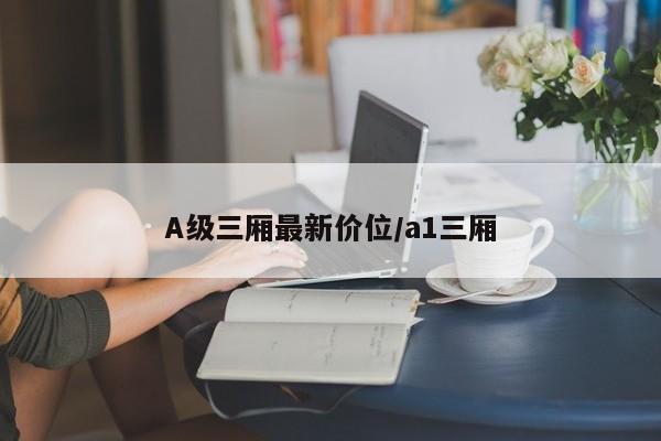 A级三厢最新价位/a1三厢