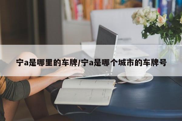 宁a是哪里的车牌/宁a是哪个城市的车牌号