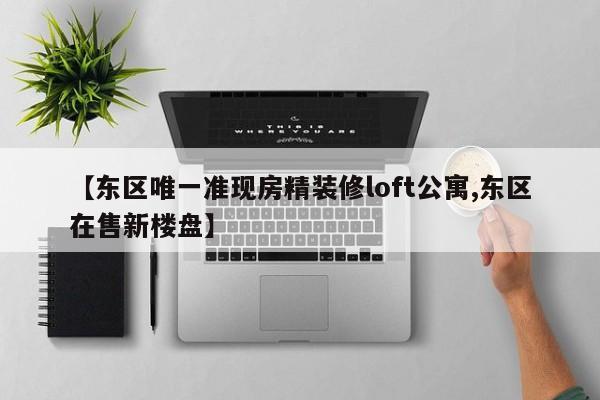 【东区唯一准现房精装修loft公寓,东区在售新楼盘】