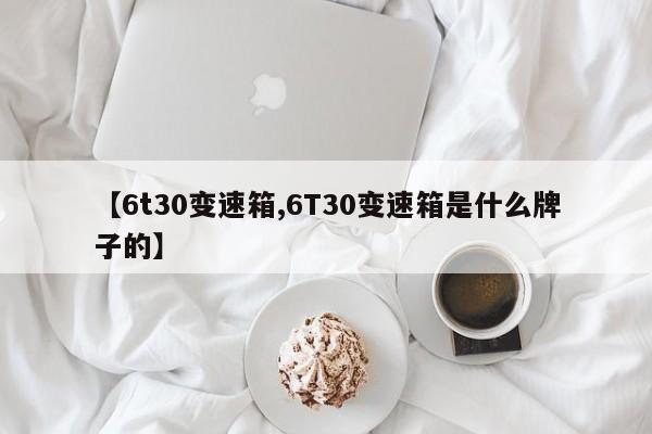 【6t30变速箱,6T30变速箱是什么牌子的】