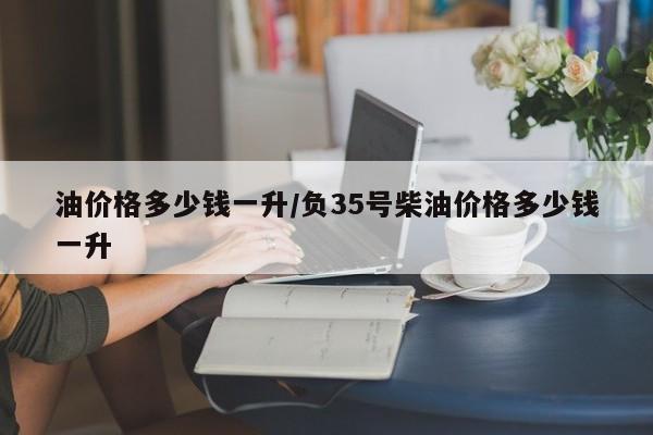 油价格多少钱一升/负35号柴油价格多少钱一升