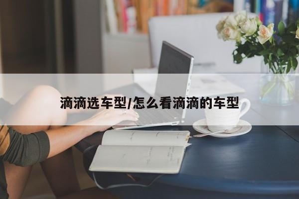 滴滴选车型/怎么看滴滴的车型